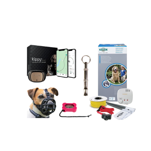 Accessoires d'éducation canine